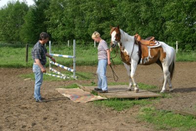 Kommunikationstraining fr Mensch und Pferd